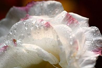 《地痞街区2》预告片 抢先体验版上市日期公布！